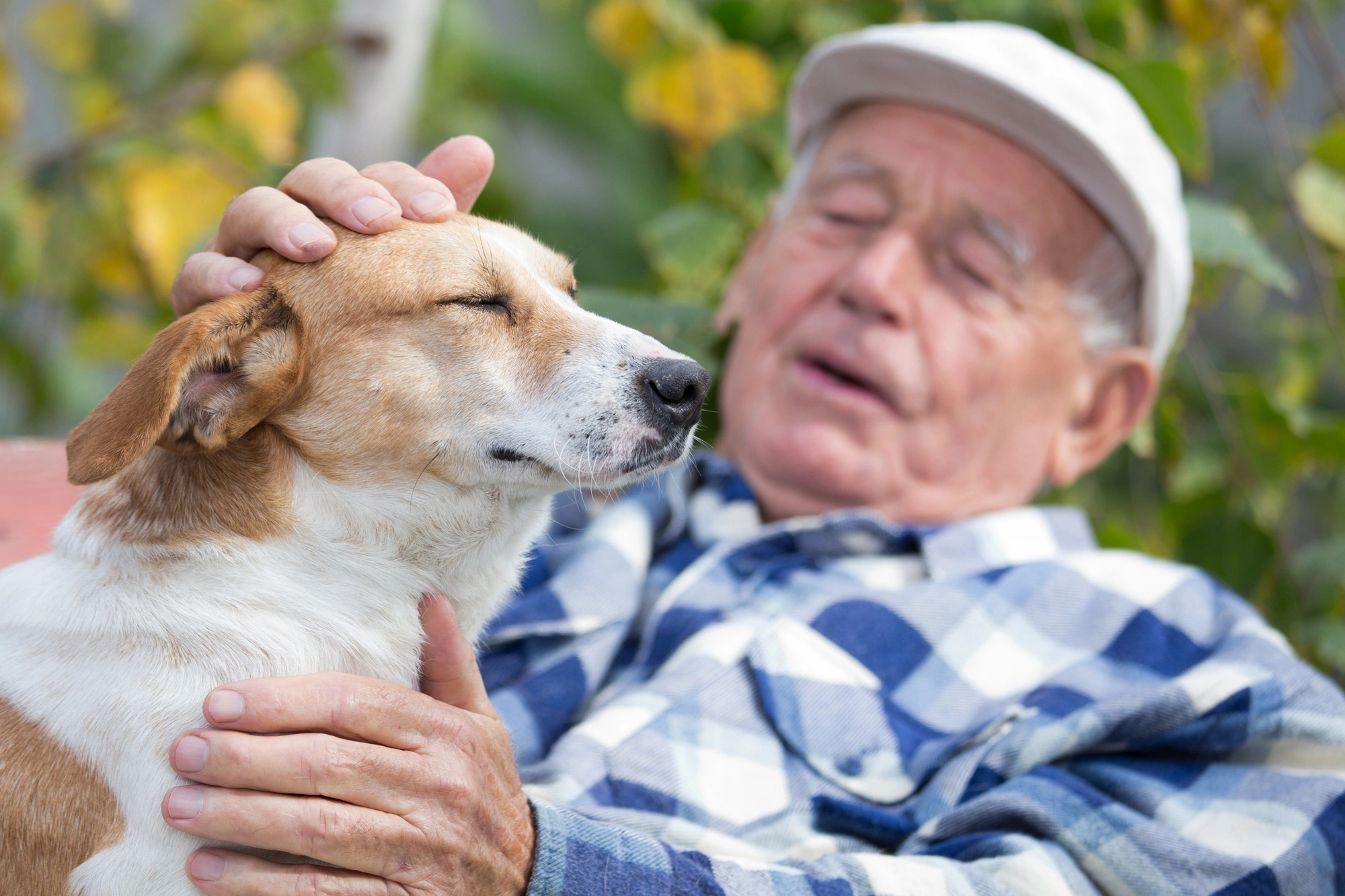 Humano abrazando a su perro, transmitiendo amor y respeto.
