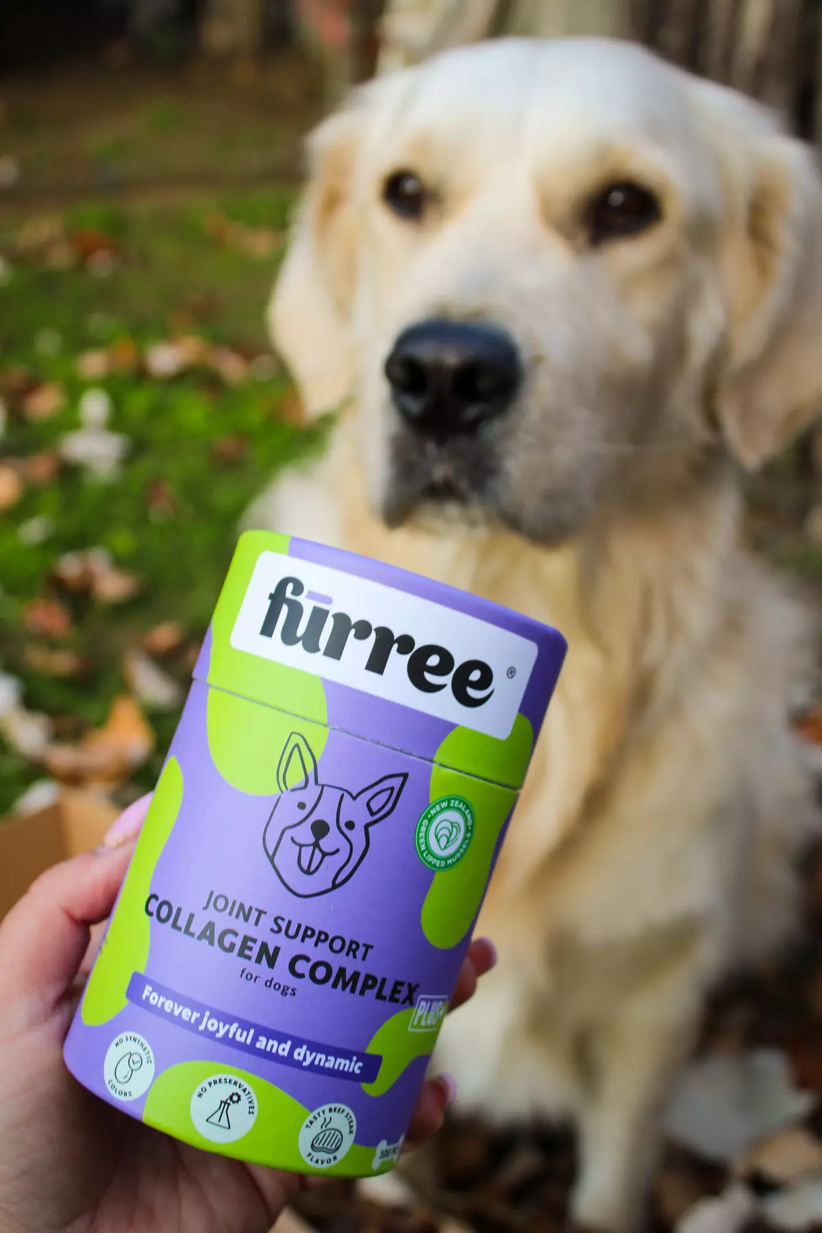 Perro de pelaje claro junto al suplemento Collagen Complex para reforzar huesos y articulaciones de forma natural.
