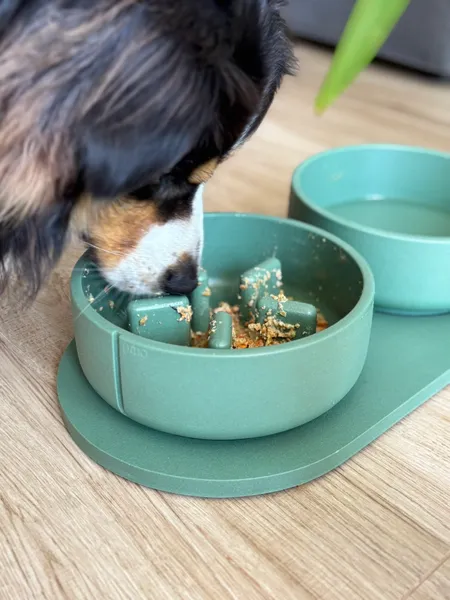 Perro mediano comiendo lentamente en comedero verde sostenible con diseño antivoracidad. El cuenco ecológico cuenta con relieves interiores que reducen la velocidad al comer, mejoran la digestión y previenen atracones. Acompañado de bol de agua a juego sobre base antideslizante.