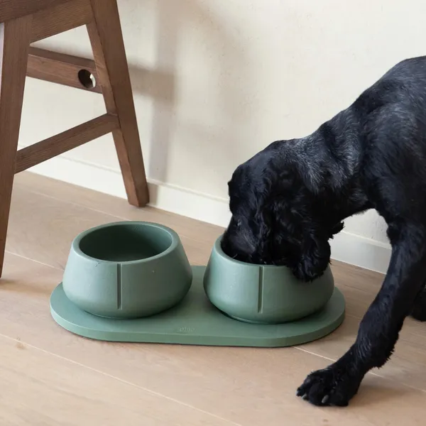 Perro de orejas largas comiendo en cuencos sostenibles sobre base antideslizante verde. Ideal para evitar derrames y mantener el suelo limpio.