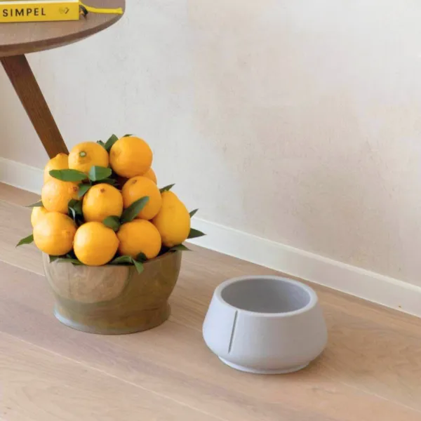 Bowl sostenible para perros con orejas largas, color Dolphin Gray, colocado en el suelo junto a un frutero con limones y una mesa de madera, ideal para Cocker Spaniel y otras razas con orejas largas.