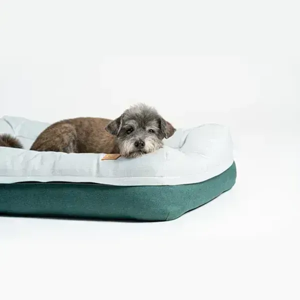 Perro descansando en una cama ortopédica verde, diseñada para aliviar la presión articular y mejorar el descanso.