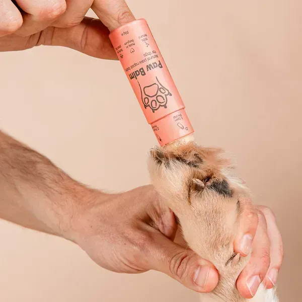 Persona aplicando Paw Balm, un bálsamo natural en formato stick de color coral, en la almohadilla de la pata de un perro con pelaje claro y uñas visibles. El fondo es beige y la imagen muestra de cerca el proceso de cuidado para proteger y reparar las patas secas o agrietadas del perro