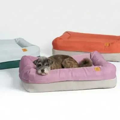 Thumbnail 400x400 for Perro descansando en camas ortopédicas de colores morado, naranja y verde, con diseño ergonómico y materiales reciclados.