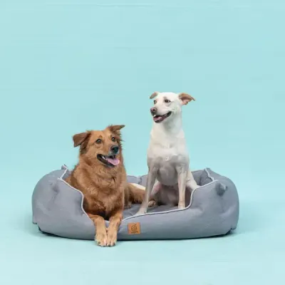 Thumbnail 400x400 for Dos perros descansando en una cama ortopédica Luxury en color Gris Neblina, con diseño envolvente y repelente al agua. Ideal para proporcionar confort y soporte articular.