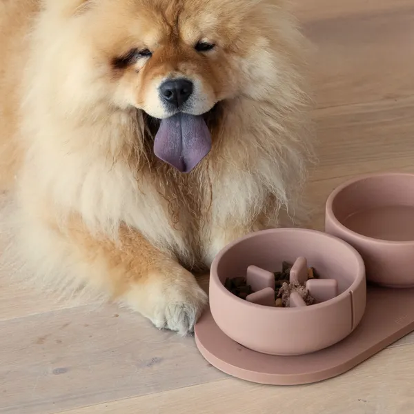 Chow Chow junto a un comedero lento sostenible color terracota, ideal para perros grandes. Cuenco antivoracidad con diseño elevado que reduce la velocidad al comer y mejora la digestión. Incluye también bol de agua a juego sobre base antideslizante. Fabricado con materiales ecológicos y duraderos.