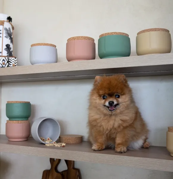 Una estantería de madera clara muestra cinco botes ecológicos alineados, en colores gris claro, rosa terracota, verde musgo y beige. Todos tienen tapa de corcho natural. En el mismo estante hay un pequeño perro de pelo largo y marrón claro, sentado y mirando de frente con expresión feliz. Abajo, se ven más recipientes apilados y uno tumbado con snacks de perro esparcidos fuera. A la izquierda hay elementos decorativos en blanco y negro. El entorno es hogareño, acogedor y lleno de personalidad.