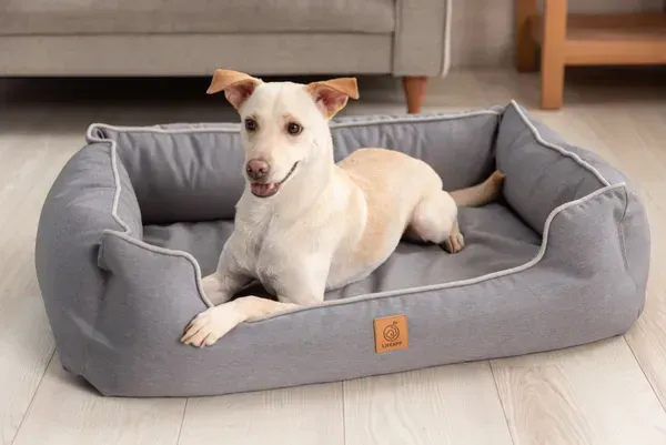 Perro blanco descansando en una cama ortopédica Luxury en color Gris Neblina, con diseño envolvente y repelente al agua. Ideal para soporte articular y confort.