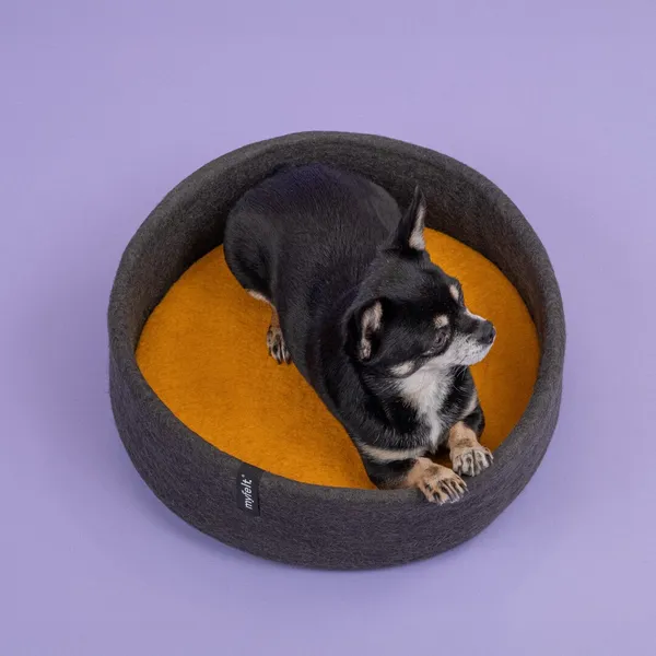 Perro chihuahua de pelaje negro y beige recostado en una cama redonda de fieltro gris con base amarilla, sobre fondo lila. Cama sostenible de diseño moderno.