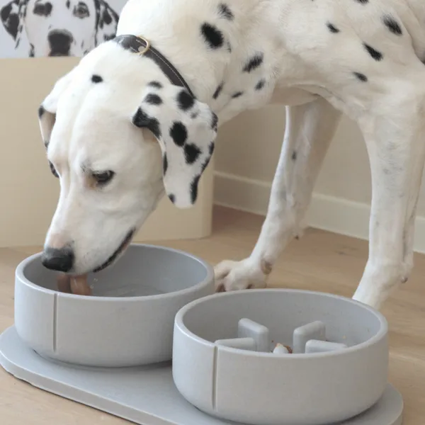 Dálmata comiendo de un comedero lento sostenible de color gris claro con diseño antivoracidad. El cuenco ecológico ayuda a ralentizar la ingesta, mejorando la digestión y previniendo atracones. Junto a un bol de agua del mismo diseño, sobre una base antideslizante a juego, ideal para perros grandes.