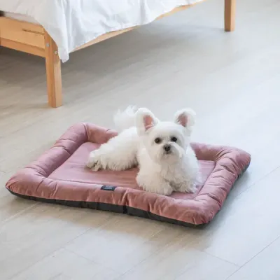 Thumbnail 400x400 for Perro pequeño de pelaje blanco descansando sobre una cama ortopédica rosa para perros. La cama tiene bordes acolchados y una etiqueta negra con el logo "LIFEAPP". El entorno es luminoso y acogedor, con suelo de madera clara y una cama de madera en el fondo, destacando el confort y diseño elegante.