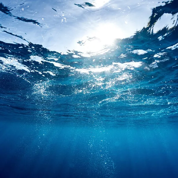 Vista submarina del océano con el sol brillando a través de la superficie del agua. Se observan burbujas ascendiendo y haces de luz filtrándose hacia las profundidades marinas, generando una atmósfera de calma, inmensidad y conexión con la naturaleza. La imagen transmite pureza, serenidad y la majestuosidad del entorno marino.