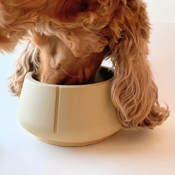 Perro de orejas largas comiendo de un cuenco sostenible en color Camel Brown. Diseño ergonómico para evitar que las orejas toquen la comida o el agua, reduciendo el riesgo de infecciones.