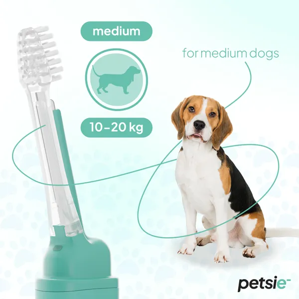Fotografía de un perro beagle sentado sobre un fondo claro, junto a un gráfico que indica que el cabezal mediano del cepillo Petsie es ideal para perros entre 10 y 20 kg. El cepillo aparece parcialmente junto al perro, con detalles ilustrativos del producto.