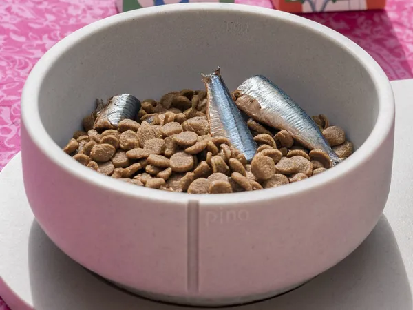 Comida natural para perros: bol con pienso seco enriquecido con sardinas ricas en omega-3 para mejorar la salud de la piel y el pelaje