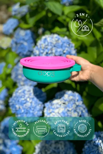 Persona sosteniendo un cuenco portátil para perros de la marca Doog con tapa de silicona rosa y base verde, frente a un fondo de hortensias azules. El cuenco es plegable, con interior de acero inoxidable, base antideslizante y apto para lavavajillas, ideal para agua o comida durante salidas al aire libre.