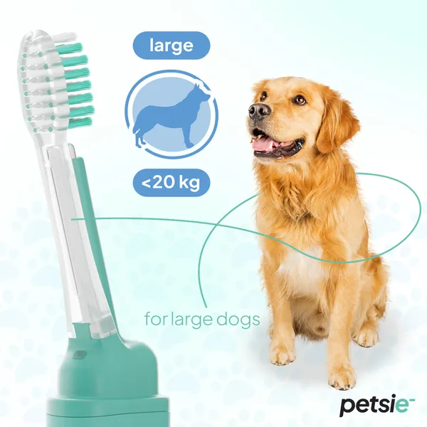 Imagen de un perro grande de raza Golden Retriever, sentado y mirando hacia el frente con una expresión amigable. A su lado, aparece un gráfico que indica que el cepillo Petsie de tamaño grande es ideal para perros de más de 20 kg, con cerdas diseñadas para una limpieza eficaz.
