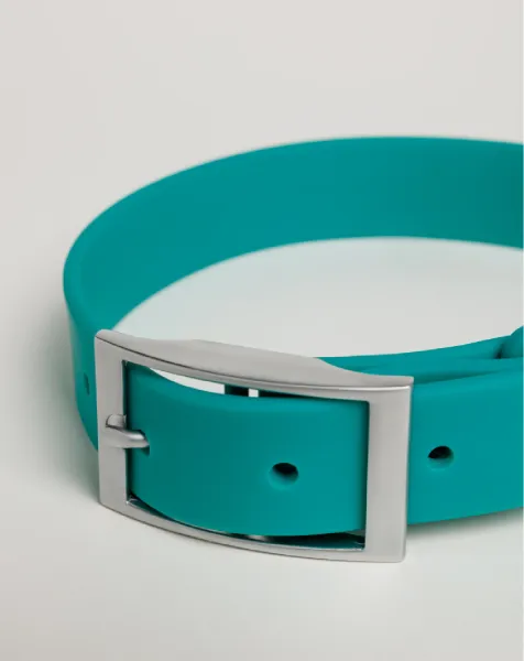 Collar impermeable para perros color turquesa, talla S, con hebilla metálica. Suave al tacto y resistente para el día a día.