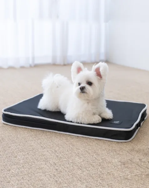 Perro pequeño blanco acostado sobre colchoneta ortopédica transpirable negra, ideal para razas pequeñas.