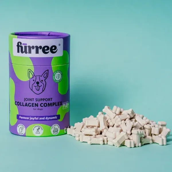  Envase cilíndrico morado y verde de Colágeno Complex para perros, rodeado de numerosos huesitos masticables pequeños sobre un fondo verde. El envase muestra ilustraciones y símbolos indicando que el producto es natural y libre de conservantes.